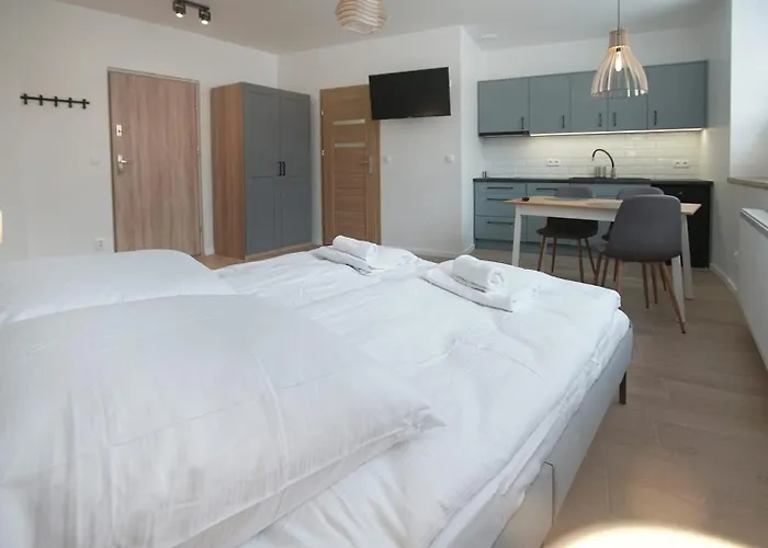 Apartment Wygodne Okraglak Stronie Slaskie- Czarna Gora Stronie Śląskie